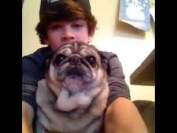 hayes grier and his dog named keeda read more show less