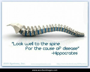Funny Chiropractic Sayings Quotes