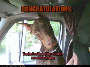 world s funniest quotes funny dogs funny dog pictures mom is letting ...