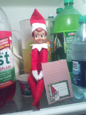 Cole Elf, Cold Fridge, Christmas Elf, Fridge Ideas, Elf On The Shelf ...