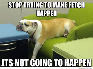 Bulldog Owner Problems – Stop trying to make fetch happen… it’s ...