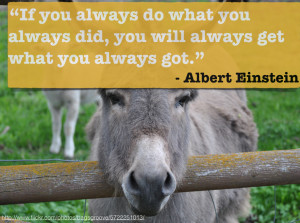 Donkey Quotes Quote donkey