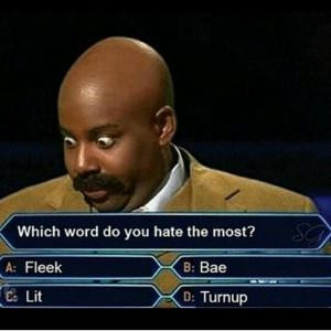 Which word do you hate the most?A: FleekB: BaeC: LitD: Turnup