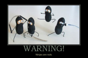 Warning ninjas are nuts funny motivational poster