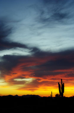 DesertSunset.jpg