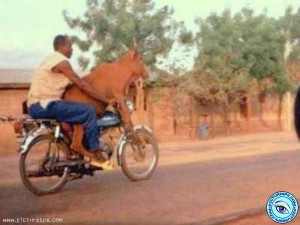 Funny Pakistani Rider Picture Free Download