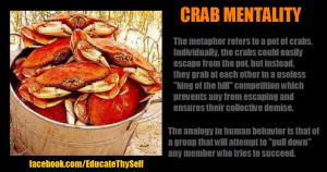 crabs