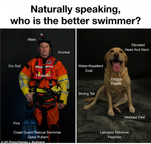 ... not to swim after them because they are better swimmers than humans