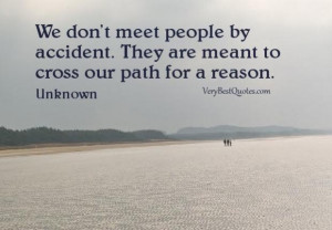 quotes we dont meet people by accident. they are meant to cross our ...