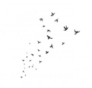 Tumblr Birds Flying Away