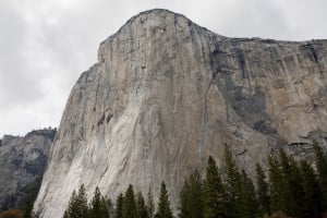 El Capitan Meadow Yosemite