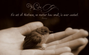 No act of Kindness, no matter how small, is ever wasted.