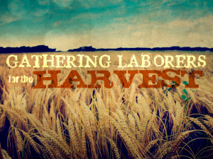 Gathering Laborers for the Harvest