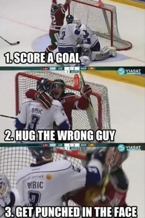 ... goal, hug wrong guy, punched in the face, funny hockey pictures