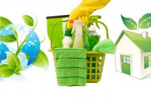 Welcome to Clean it Green! Earth Friendly Cleaning Service