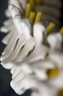 chiropractic therapy assistant practice test for free