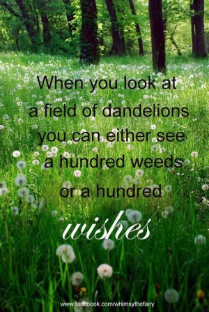 ... Inspiration, Quotes, Fields Of Dream, Weed, Things, Dandelions, Flower