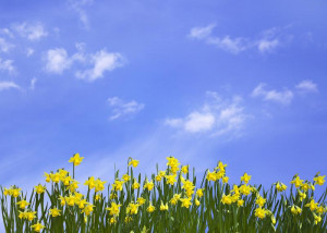 Spring brings a much needed energy boost and optimism to many of us ...