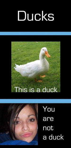 Duck-Face.jpg