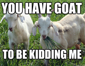 14 Goat Quotes For Every Occasion