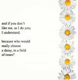 alone, daisy, hipster, love, quote, sad