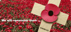 Update -Remembrance Sunday and Monday 2013 - The Cornish Connection