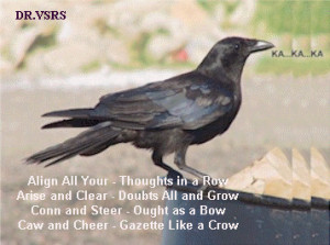 Quotes About Crows