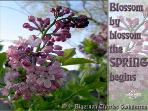 Spring Quotes For Children