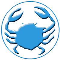 Beautiful Blue Cancer Crab