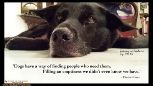 Dogs have a way of finding people who need them, and filling an ...