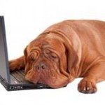 Feeling tired and worn out?