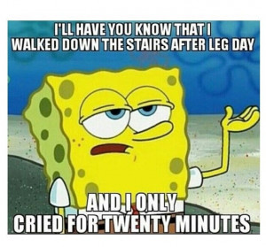 Stairs after leg day require more coaxing and encouragement than ...