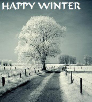 happy winter quotes
