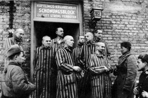il y a 70 ans la lib ration du camp de concentration d 39 Auschwitz