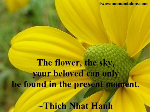 the flower quote flowers quotes beauty gardening quotes