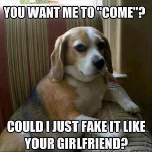 funny dog fakes it like your girlfriend