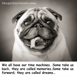 Cute Dog Pictures In Black And White With Time Machine Sayings