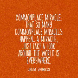 quotes-commonplace-miracle-wislawa-szymborska-480x480.jpg