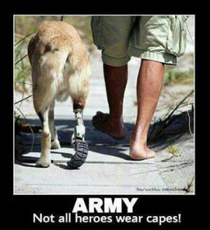 Army hero dog