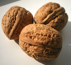 Pecans Vs Walnuts