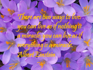 Beautiful purple flowers with quote from Einstein - Two ways to live ...