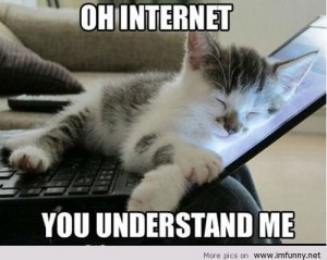 On Internet, You Understand Me. ~ Funny Cat Quote