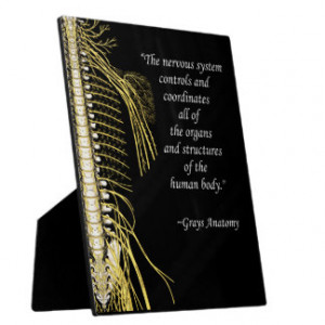 Chiropractic Nervous System Quote Easel Display Plaques