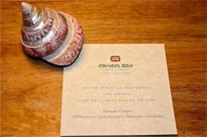 Shell With a Quote Instead of Chocolate on Your Pillow