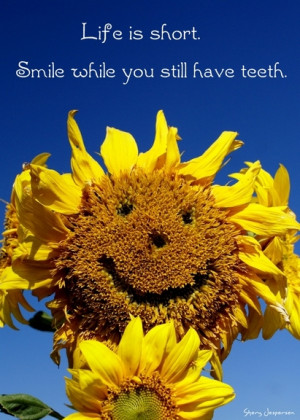 Sunny Smile Sunflower Kunaporn