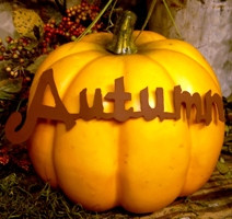 Fall - Pumpkin Sayings - Autumn