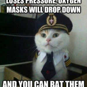 Captain Cat Meme Gives Instructions On Airplane Oxygen Masks