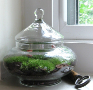 twins in cruel intentions2