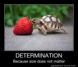 Determination by ~emogummybear1235
