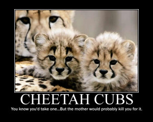 Cheetah Cubs by GameChibi